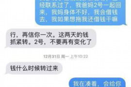 晋江为什么选择专业追讨公司来处理您的债务纠纷？